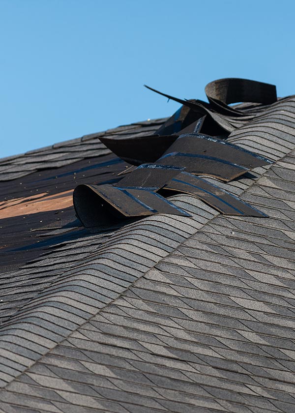 Emergency damaged roof repair services in Sarasota/Bradenton